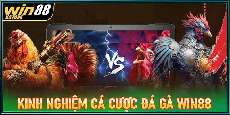 Chia sẻ kinh nghiệm cá cược đá gà win88 cực hấp dẫn